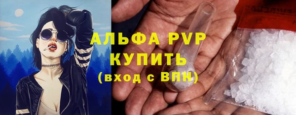шишки Михайлов