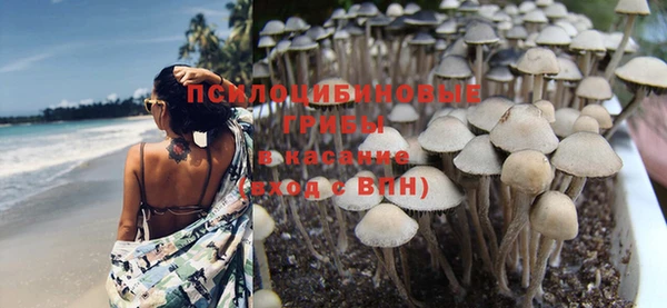 прущие крисы Михайловск