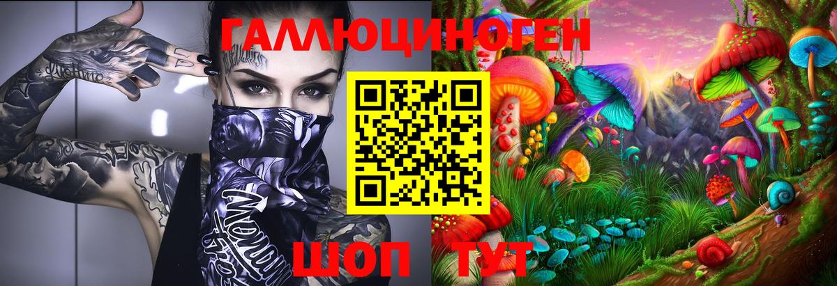 Ковров  Псилоцибиновые грибы прущие грибы  Вход с VPN  где найти наркотики  Галлюциногенные грибы MAGIC MUSHROOMS 