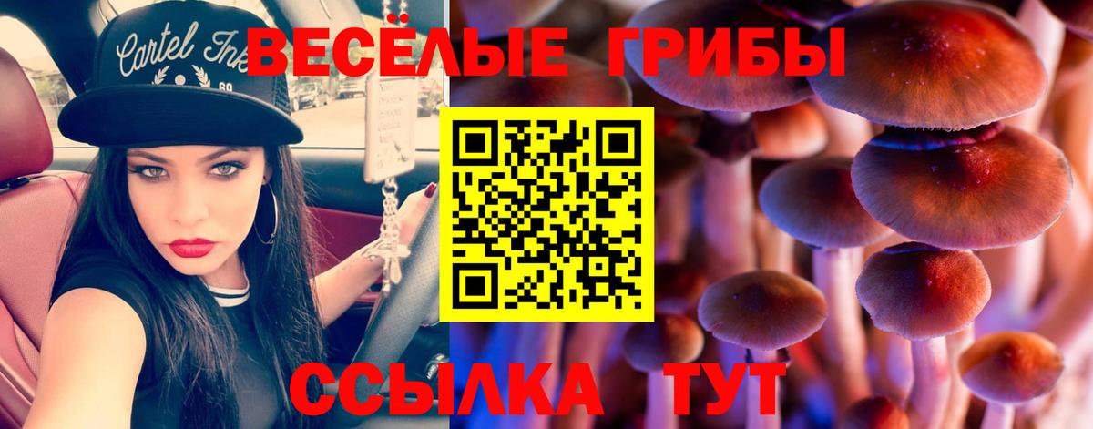 Псилоцибиновые грибы мицелий Ковров